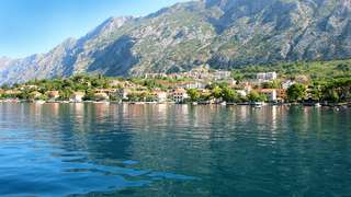 Kotor